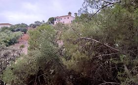 Casa rural en el campo con animales, piscina y barbacoa